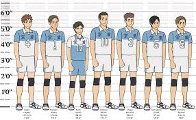 Have a great time here discussing the manga, anime, and other volleyball related subjects. Haikyuu Oikawa Height