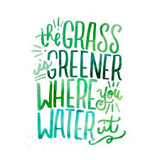 The Grass Is Always Greener On The Other Side Of The Fence Expansion Of Idea The Grass Is Greener Where You Water It 9 365 It S So Easy To Get Caught Up Thinking About The Greener Green Quotes Inspirational Quotes Inspirational Words