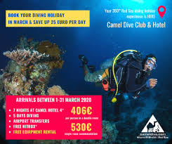 Four seasons sheikh 5 stars. Thinking About Getting Camel Dive Club Sharm El Sheikh Facebook