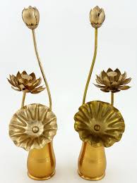 Image result for Lotus discolor