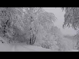 Relaxing Snowfall 2 Hours Sound Of Light Wind Breeze And Falling Snow In Forest Part 2 Youtube Snowfall Snow Forest