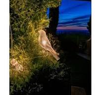 Solar LED Bird Clip On String Lights 5PC - Solar Lights for ...