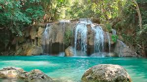 Calming Music Nature Sounds Zen Music Youtube