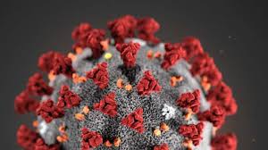 666 montgomery woods dr is a house in hockessin, de 19707. Coronavirus Positive Cases In Pakistan Jump To 666 All International Flights Suspended World News India Tv