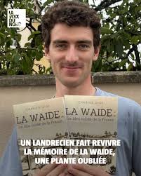 Un minutieux travail de recherche pour retranscrire l'histoire de cette  plante jadis fort plébiscitée en Europe. ➡️ https://l.lavoixdunord.fr/k0R