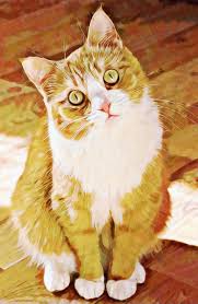 Streaming film unparalleled mulan 2020 subtitle indonesia online kebioskop21, genre: Cat Art Around Us Opensea