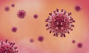 A virus is a small collection of genetic code, either dna or rna, surrounded by a protein coat. Kunnen Virussen Zwakker Worden Artsenkrant Op Pc Artsenkrant Com