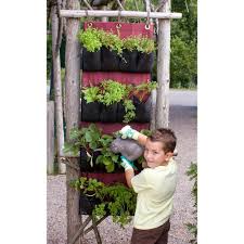 Ikea shoe organizer as a vertical planter for growing greens in a small spaced partial shade garden ! A Clever Use For The Shoe Organizer Gardening For Kids Garden Types Vertical Garden