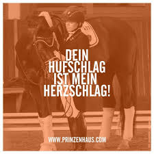 Www Prinzenhaus Com Dein Hufschlag Ist Mein Herzschlag Reit Zitate Pferdespruche Pferde Zitate