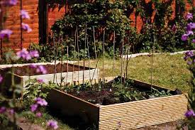 I've learned from these examples and advice and i always rotate my crops, even if my garden is small. Https Www Grit Com Farm And Garden Crop Rotation Vegetable Gardening Zm0z13jfzgou