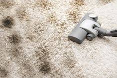We only use a small amount of the moisture allowing your carpet to dry in 1 to 2 hours, not days. 24 Pristine Steam Ideas How To Clean Carpet Cleaning Upholstery Carpet Cleaning Hacks