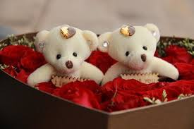Image result for love images
