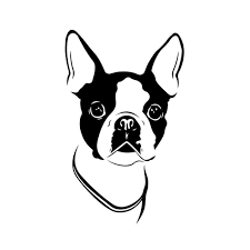 Boston Terrier Dog Graphics Svg Dxf Eps Png Cdr Ai Pdf Vector Art Clipart Instant Dow Boston Terrier Tattoo Boston Terrier Art Boston Terrier Art Illustrations