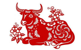 Năm con Trâu (Năm Sửu)