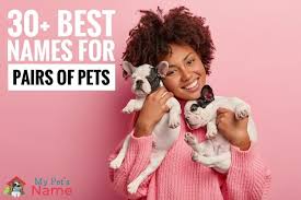 The nice thing about these options is they work for all breeds, all sexes, and all ages of cats. Duo Pet Names 30 Best Names For Pairs Of Pets My Pet S Name
