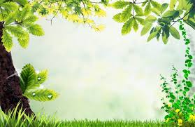 الإطار ألبوم بسيطة أوراق الشجر والزهور Trees To Plant Leaf Background Plant Leaves