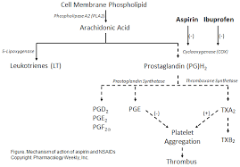 Nsaids Pharmacology Pharmacology Drug Interactions Nsaids