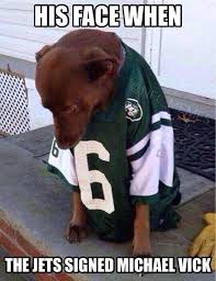 Dog Jets Football Humor Michael Vick Silly Dogs When Memes