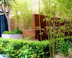 This garden uses black bamboo fencing rolls and large diameter bamboo poles. 56 Ideas For Bamboo In The Garden Out Of Sight Or Decoration Interior Design Ideas Ofdesign