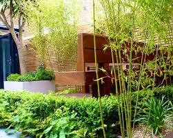 38 creative side house garden landscaping ideas with rocks | garden ideas. 56 Ideas For Bamboo In The Garden Out Of Sight Or Decoration Interior Design Ideas Ofdesign