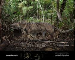 Image result for Dissotis peregrina