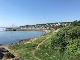 Skred i kvikkleireområder har fleire gonger teke liv og eigendom og potensielle kvikkleireskred utgjer ein stor skaderisiko i mange områder i noreg. Kartlegging Av Fare For Kvikkleireskred I Ostfold Nve