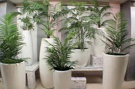 ▶ compra plantas artificiales baratas. Mayoristas De Plantas Artificiales Montajes Cid Valencia