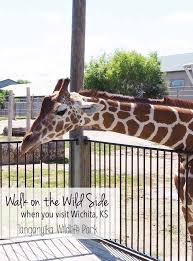 Family Friendly Activities In Wichita Kansas Julie Measures Family Friendly Activities Family Friendly Travel Wichita