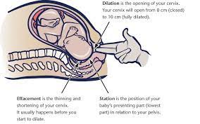 The First Stage Of Labour Begins With Contractions Healthy Families Bc