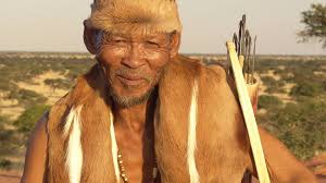 Namibia Okonjima Nature Reserve: Animal Welfare