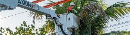 Neoenergia interrompe energia para manutenção e modernização da rede elétrica do DF entre os dias 26 de maio e 1º de junho