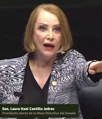 Laura Itzel Castillo rinde protesta como presidenta de la mesa directiva  del Senado • MB Noticias