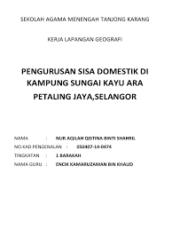 Bekerja adalah melakukan pekerjaan dengan maksud memperoleh atau membantu memperoleh. Tugasan Geografi Sisa Domestik