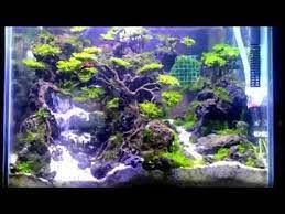 Aquascape Waterfall 40cm - YouTube | Aquascape, Fish tank, Freshwater aquarium