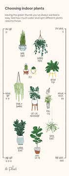 Vacation Rentals Homes Experiences Places Airbnb Bedroom Plants Decor Plants Bedroom Plants