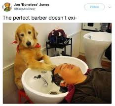 16 Pics That Ll Make Dog People Say Perfect Doesn T Exi