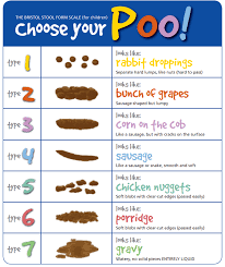 The bristol stool chart details seven types of poop, ranging from constipation (type 1) to diarrhea (type 7). Bristol Stool Chart Paediatric Pearls