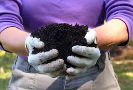 Maybe you would like to learn more about one of these? The Many Benefits Of Compost Composting 101 What Is Compost