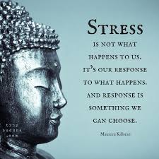 Friendship quotes: Stress is not what happens to us it's our ...