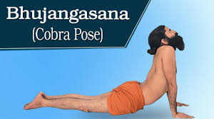 Health Benefits Of Bhujangasana Cobra Pose Swami Ramdev Youtube