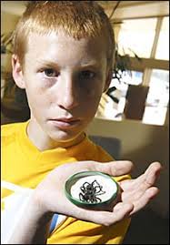 Spider bite a scare for mum