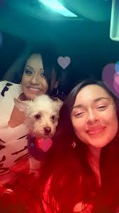 Lost Dog Found in Albuquerque at McDonald's