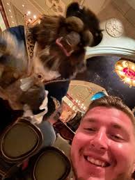 Why is Royal Table more popular than Be Our Guest?