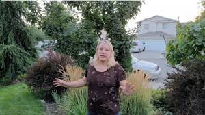 A fan favorite botanical, feather reed grass dances with every breath of wind to create peaceful, living landscapes. Feather Reed Grass Overused Yet Beautiful Youtube