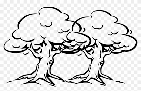 Tree Cartoon Black And White Outline Drawing Banyan Tree Free Transparent Png Clipart Images Download Palm tree cartoon vector illustration graphic design.
