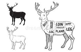 Deer Meat Cuts With Elements And Names Isolated Black On