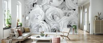 Find white rose pictures and white rose photos on desktop nexus. White Roses Popular Wall Mural Photowall