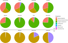 Image result for Scepocarpus hypselodendron