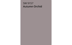Our Favorite Paint Color Combinations