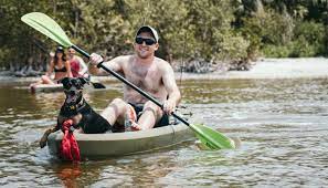 If you are looking for the best inflatable kayak for dogs, this. Best Kayaks For Dogs In 2021 Treehousepuppies